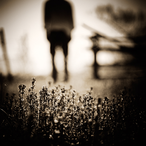 goodbye stranger