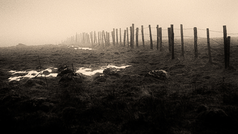 Nowhere's Spine