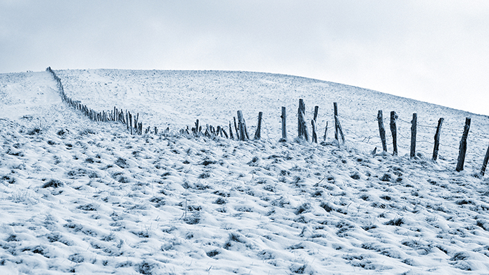 into the wilderness