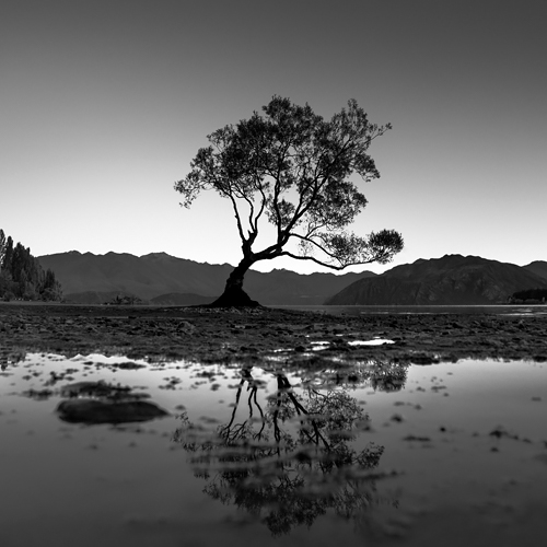 Wanaka Lake