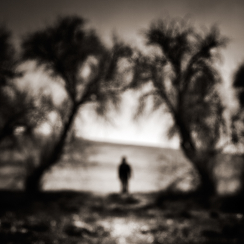 Ebru Sidar