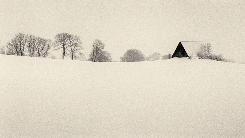 the Shape of Stillness