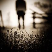 goodbye stranger