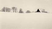 the Shape of Stillness