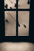 the Fall