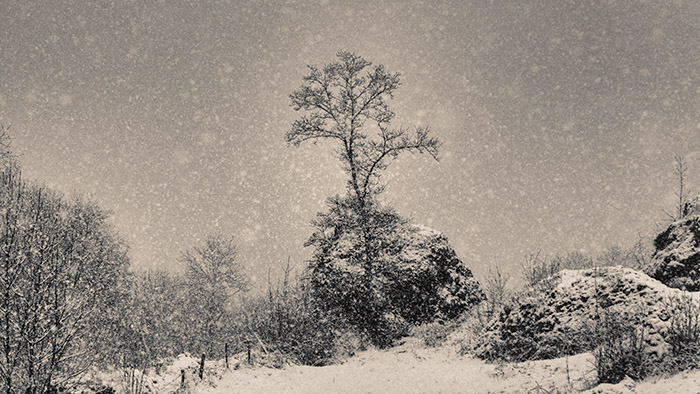  Suspended in Eternity/Cantal/France :: White Calling