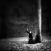 Distand Shelters 8
